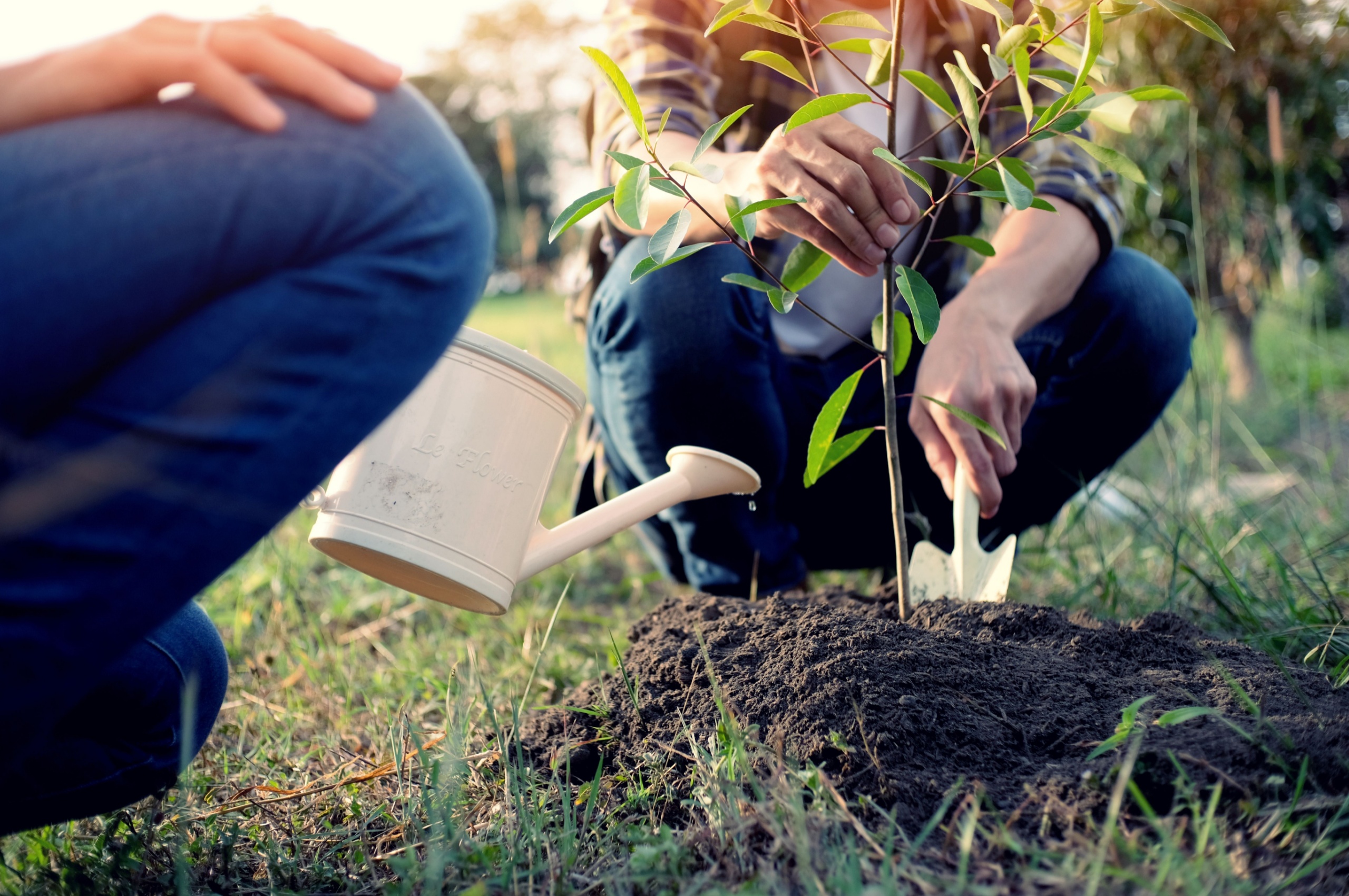 Two people watering plants. 