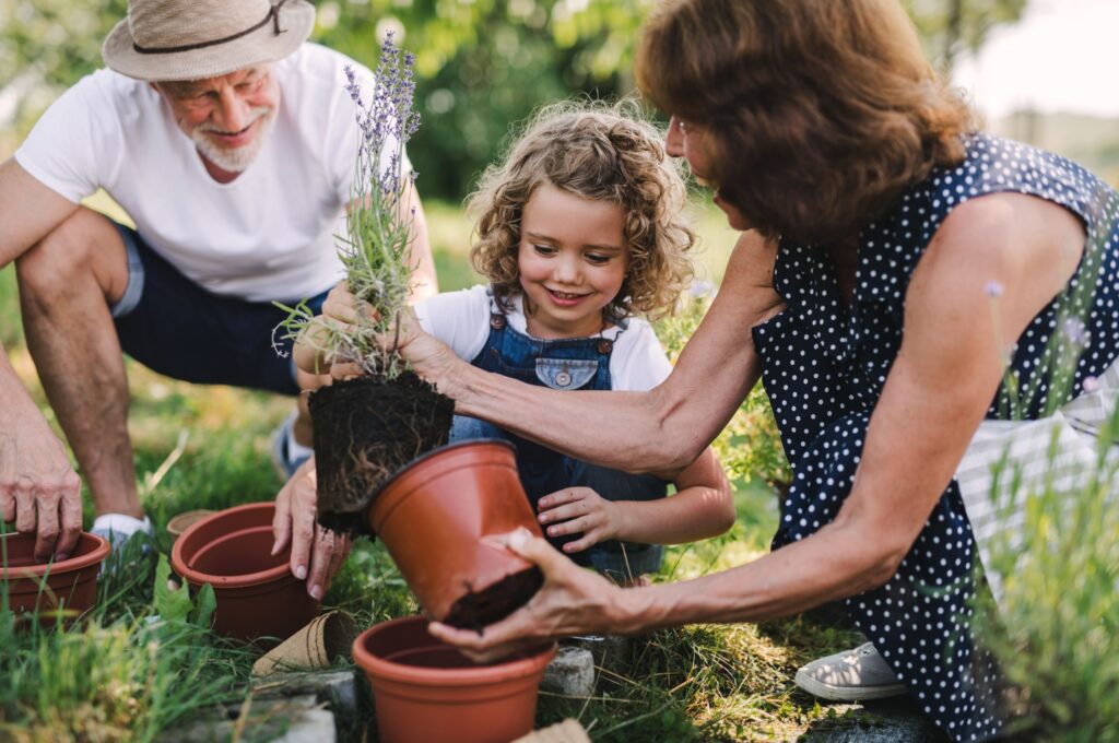 Grandparents gardening with their grandchild.