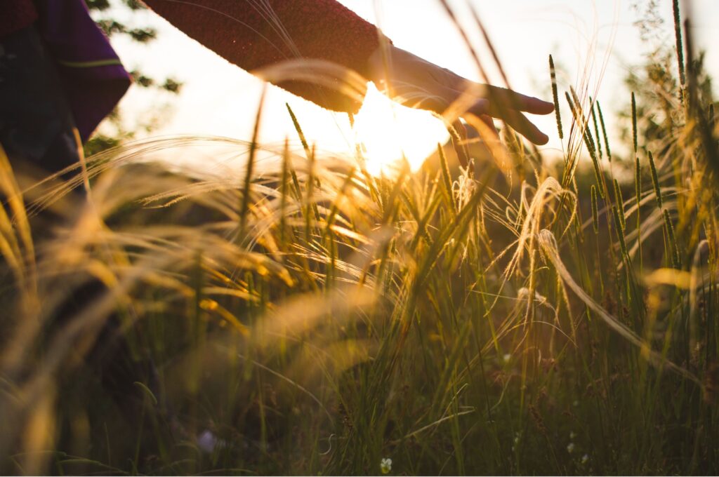 A girl running her hand over tall grass.